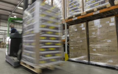 Why Warehousing Strategy Is the Key to Faster, Smarter Retail Delivery